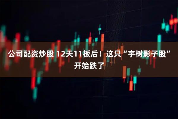 公司配资炒股 12天11板后！这只“宇树影子股”开始跌了